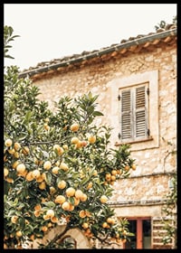 Poster con la fotografia di un albero di limone in un ambiente mediterraneo-6