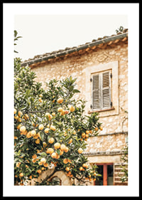 Poster con la fotografia di un albero di limone in un ambiente mediterraneo-0