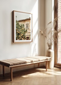 Poster con la fotografia di un albero di limone in un ambiente mediterraneo-8