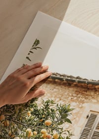 Poster con la fotografia di un albero di limone in un ambiente mediterraneo-9