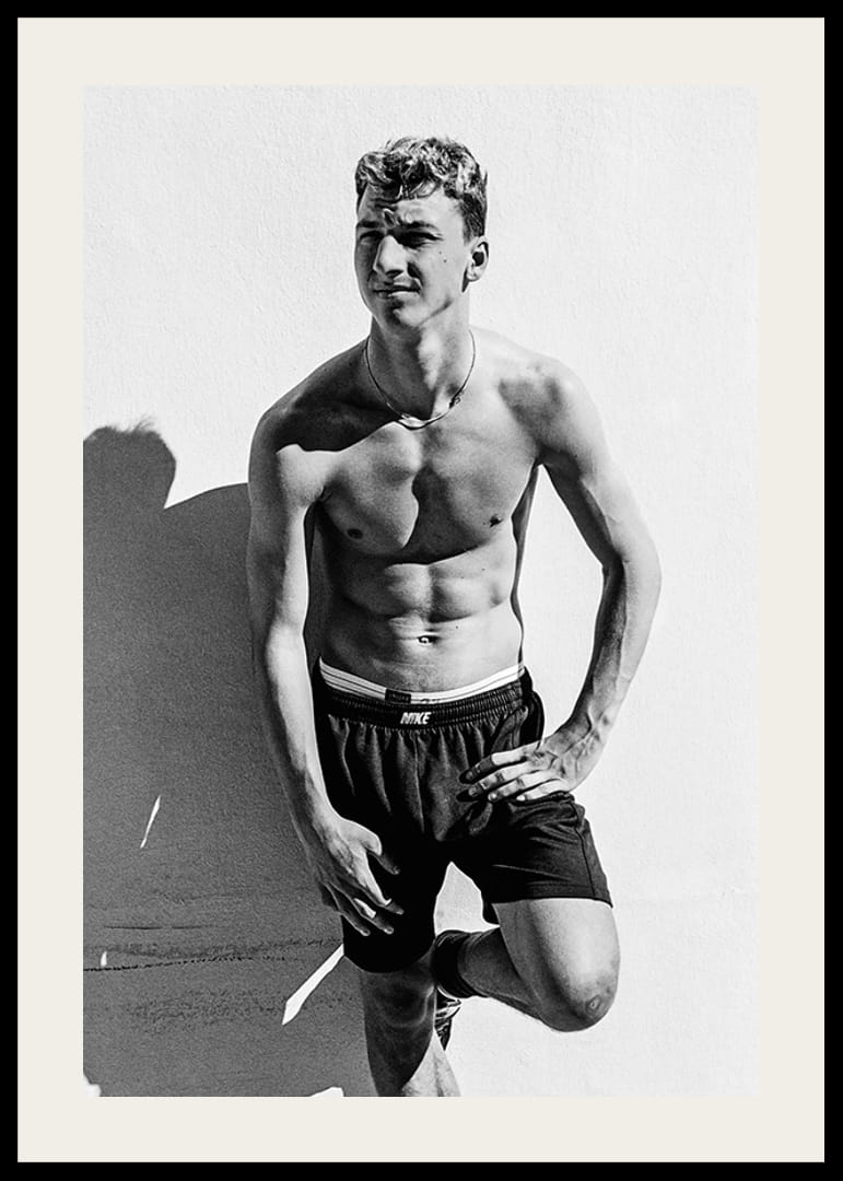 Zlatan Ibrahimovic 2001-12