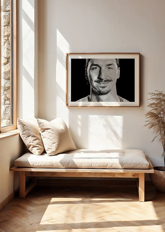 Retrato de Zlatan Ibrahimovic 2016-12