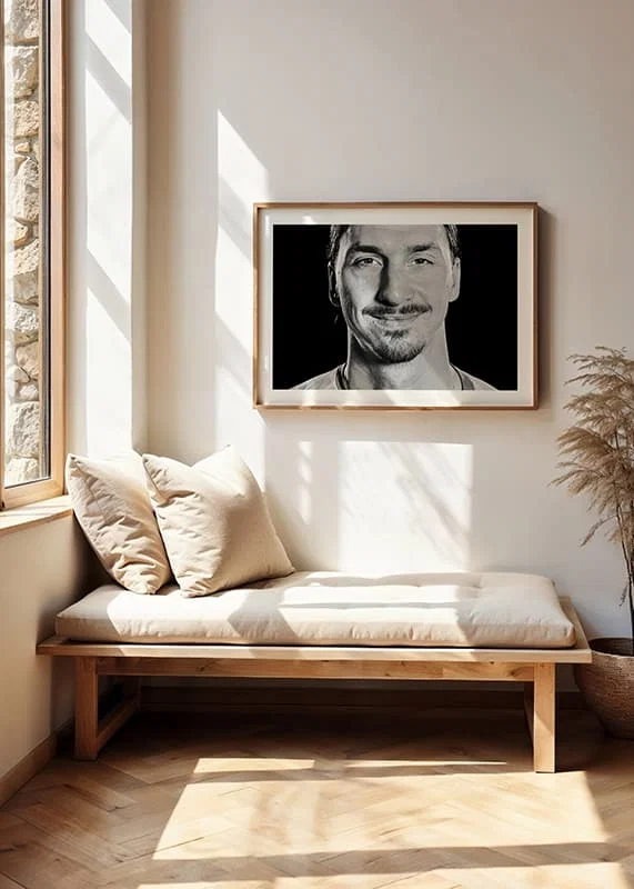 Zlatan Ibrahimovic portrait 2016-12