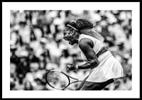 Serena Williams Wimbledon 2019-0