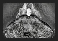 Michael Phelps podczas Mistrzostw Świata w pływaniu w Rzymie we Włoszech w 2009 roku-5