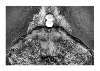 Plakat Michael Phelps 2009
