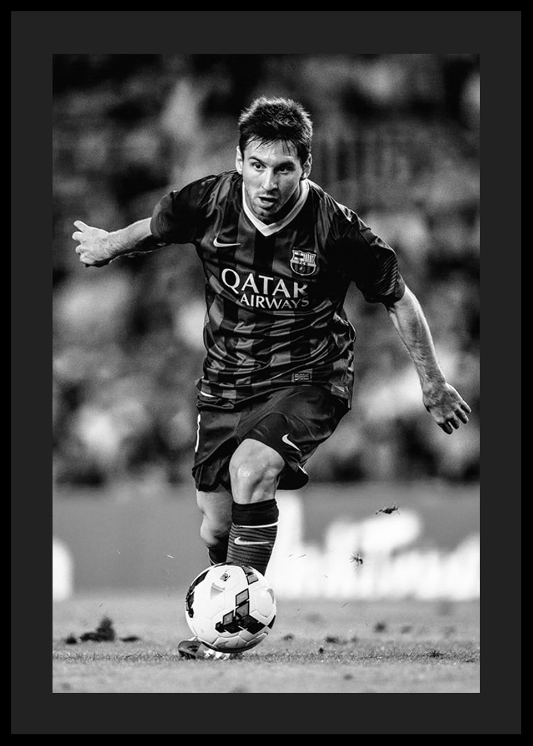 Lionel Messi FC Barcelona 2013-12