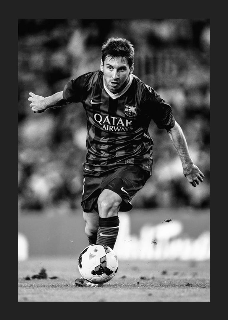 Lionel Messi FC Barcelona 2013-12
