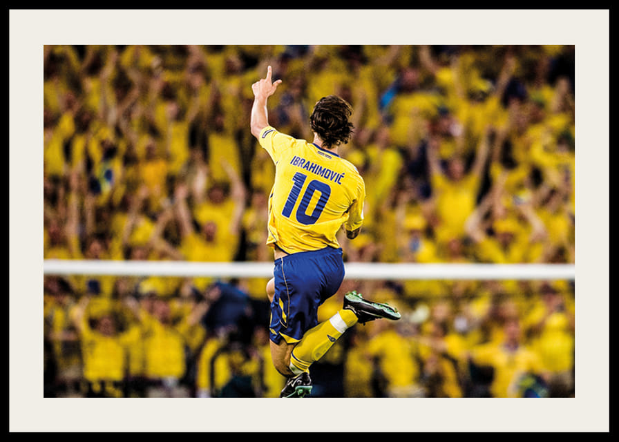 Zlatan Ibrahimovic 2008-12