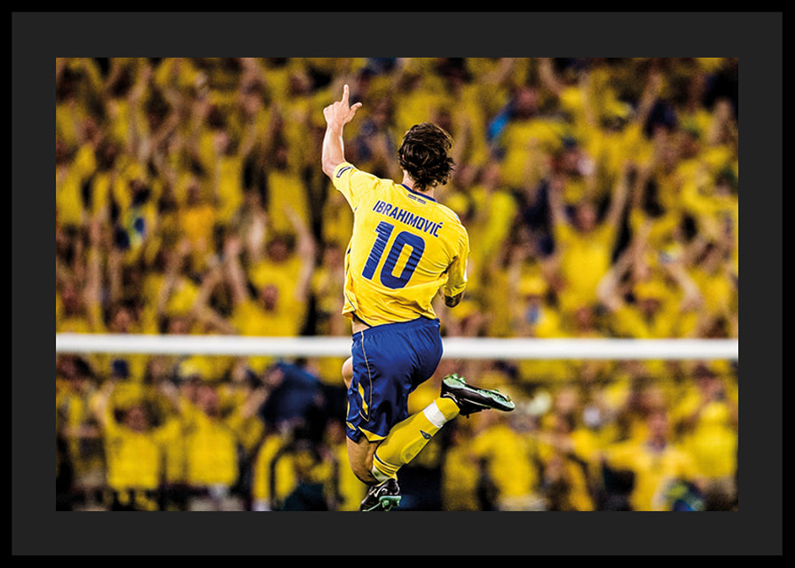 Zlatan Ibrahimovic 2008-12