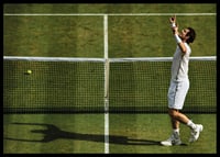 Andy Murray Wimbledon Victory 2016-6