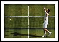 Andy Murray Vitória em Wimbledon 2016-0