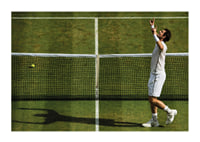 Andy Murray Wimbledon Victory 2016-1