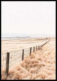 Poster from the nature category with a photograph of a vast grassy landscape-2