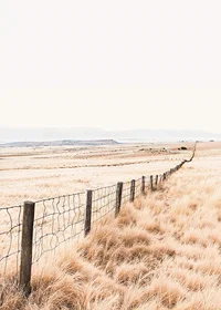 Poster from the nature category with a photograph of a vast grassy landscape-7