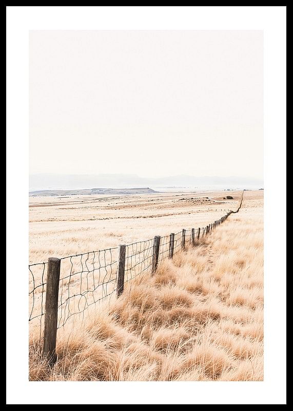 Poster from the nature category with a photograph of a vast grassy landscape-12
