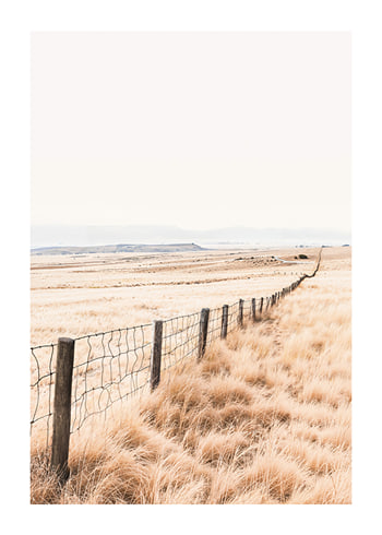 Poster Serene Landscape