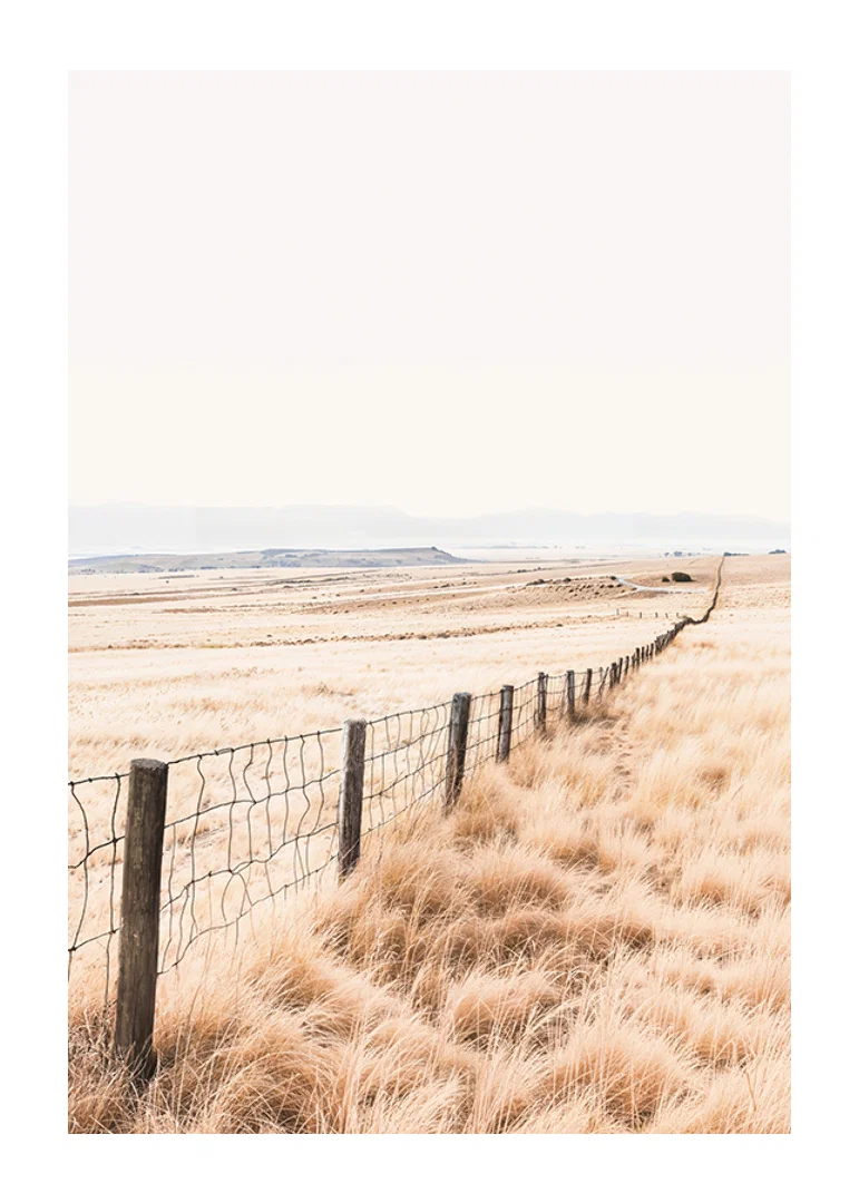 Poster from the nature category with a photograph of a vast grassy landscape-12