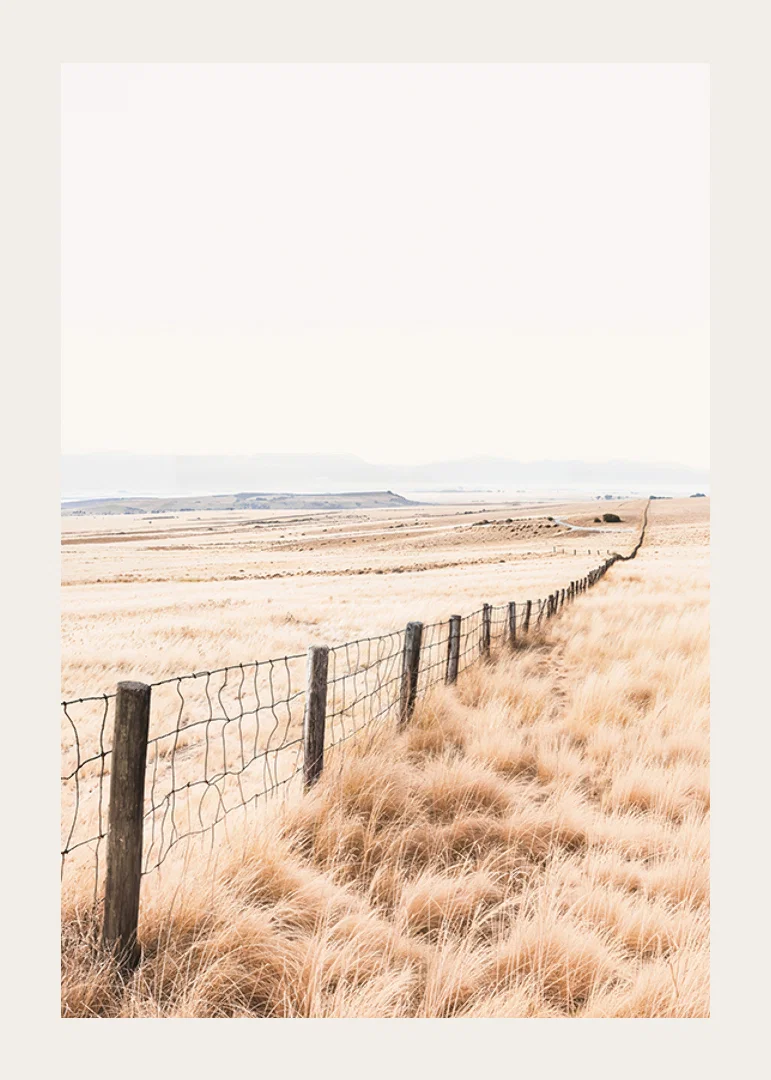 Poster from the nature category with a photograph of a vast grassy landscape-12