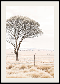 Poster from the nature category with a photograph showing a lone tree in an open landscape-2