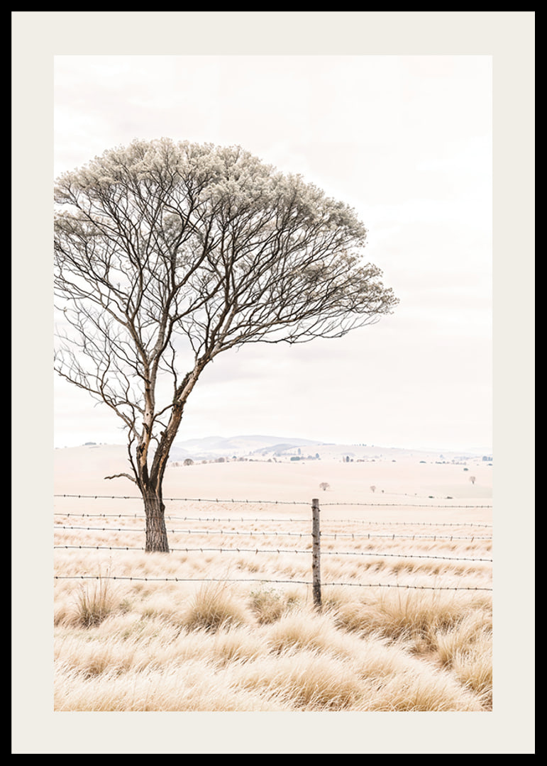 Poster from the nature category with a photograph showing a lone tree in an open landscape-12