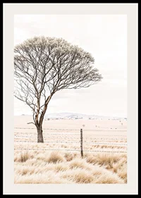 Poster från kategorin natur med ett fotografi som visar ett ensamt träd i ett öppet landskap-2