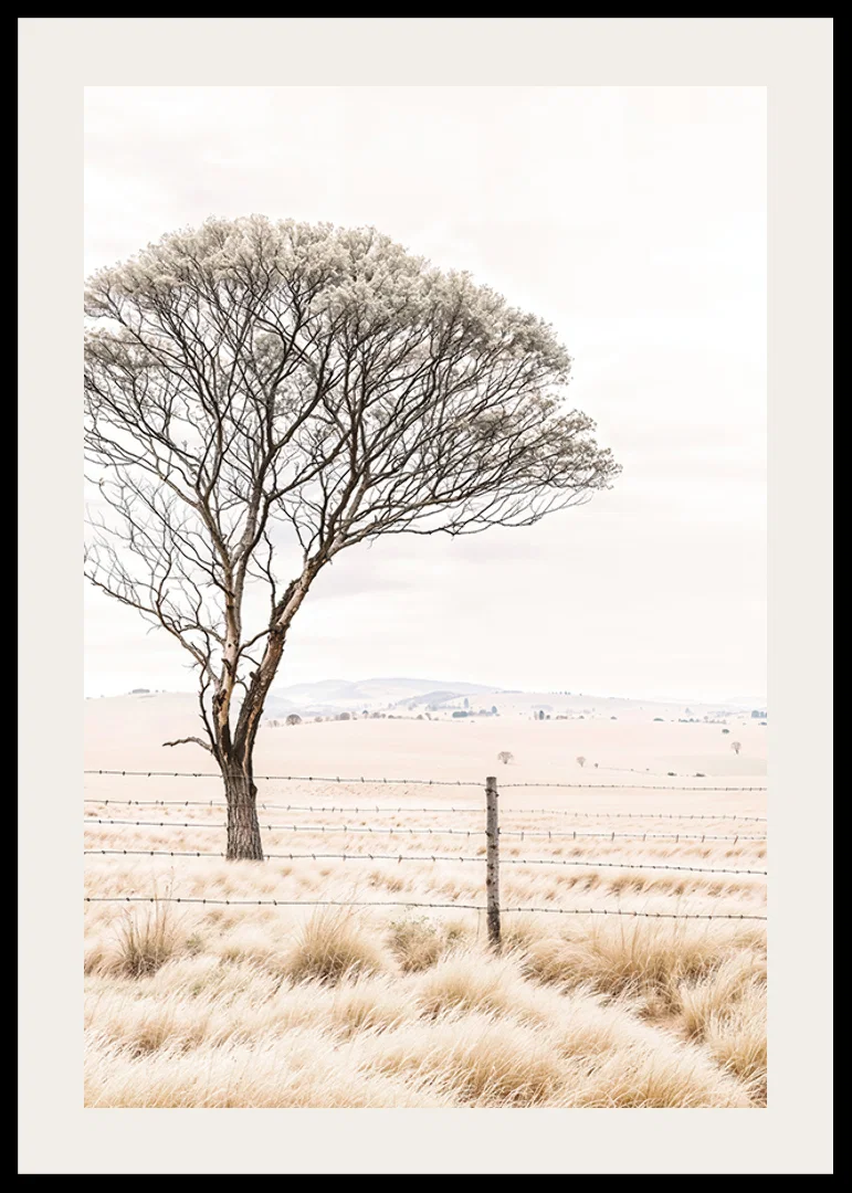 Poster från kategorin natur med ett fotografi som visar ett ensamt träd i ett öppet landskap-12