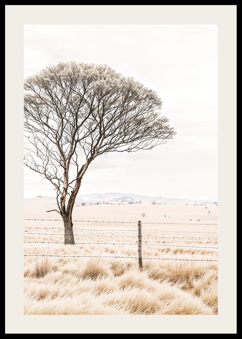 Plagát z kategórie príroda s fotografiou zobrazujúcou osamelý strom v otvorenej krajine-12
