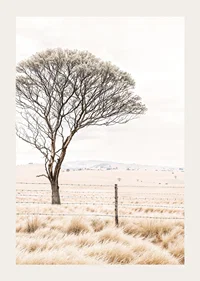 Poster från kategorin natur med ett fotografi som visar ett ensamt träd i ett öppet landskap-3