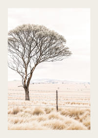 Plagát z kategórie príroda s fotografiou zobrazujúcou osamelý strom v otvorenej krajine-3