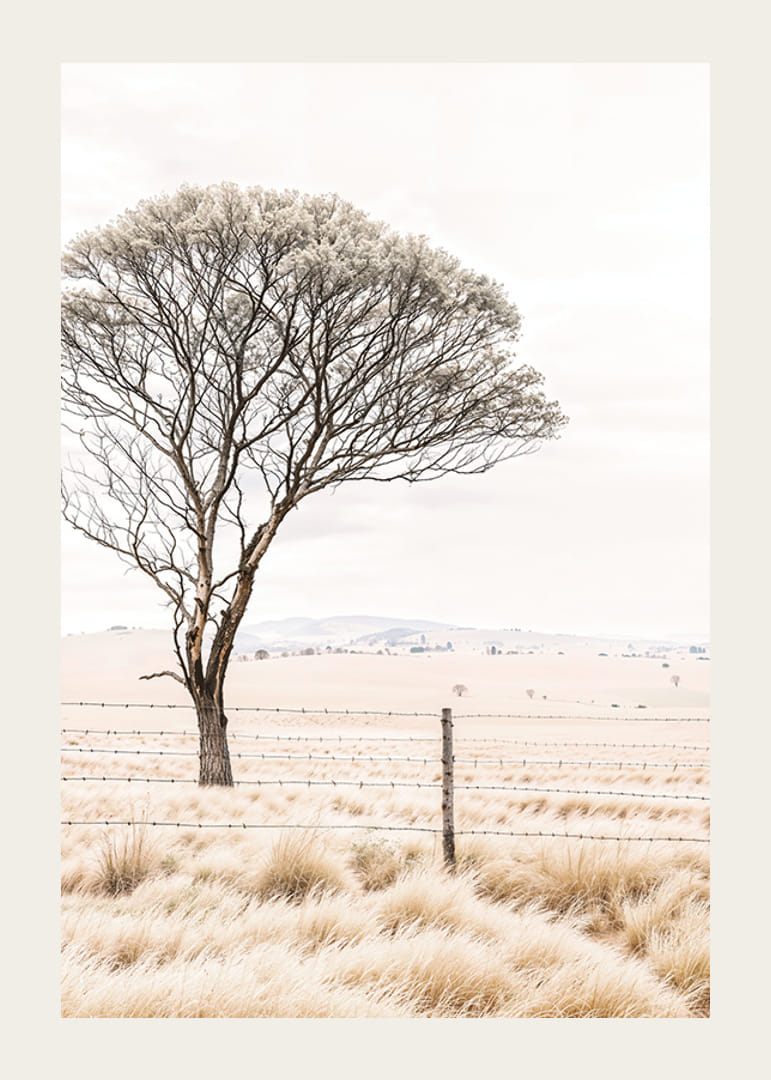 Plagát z kategórie príroda s fotografiou zobrazujúcou osamelý strom v otvorenej krajine-12