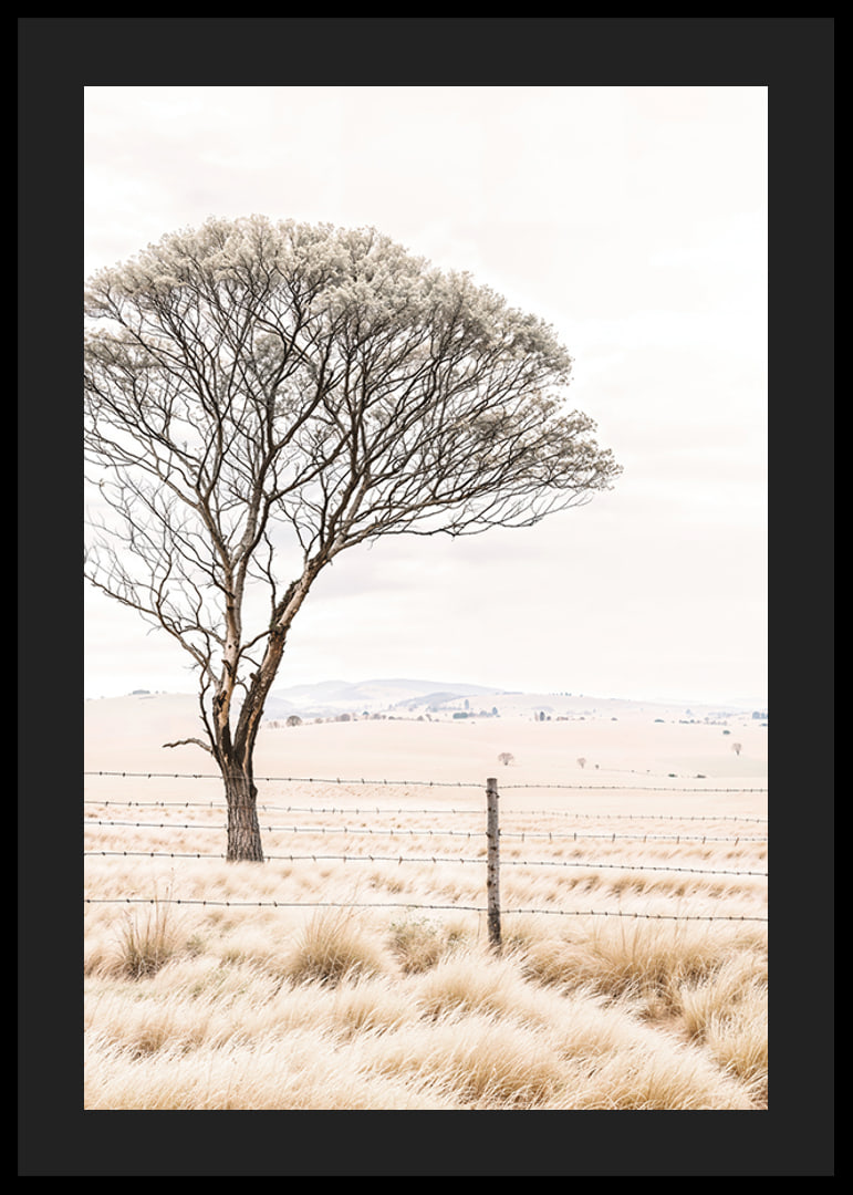 Poster from the nature category with a photograph showing a lone tree in an open landscape-12