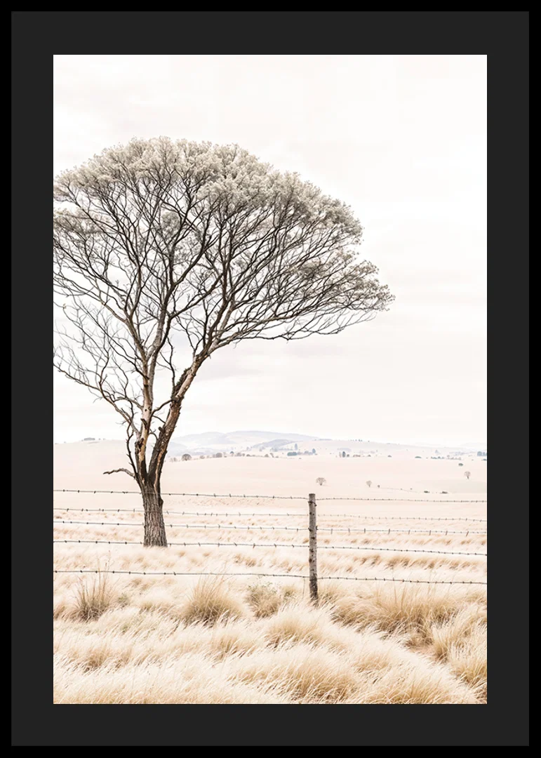 Poster från kategorin natur med ett fotografi som visar ett ensamt träd i ett öppet landskap-12