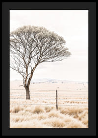 Plagát z kategórie príroda s fotografiou zobrazujúcou osamelý strom v otvorenej krajine-4