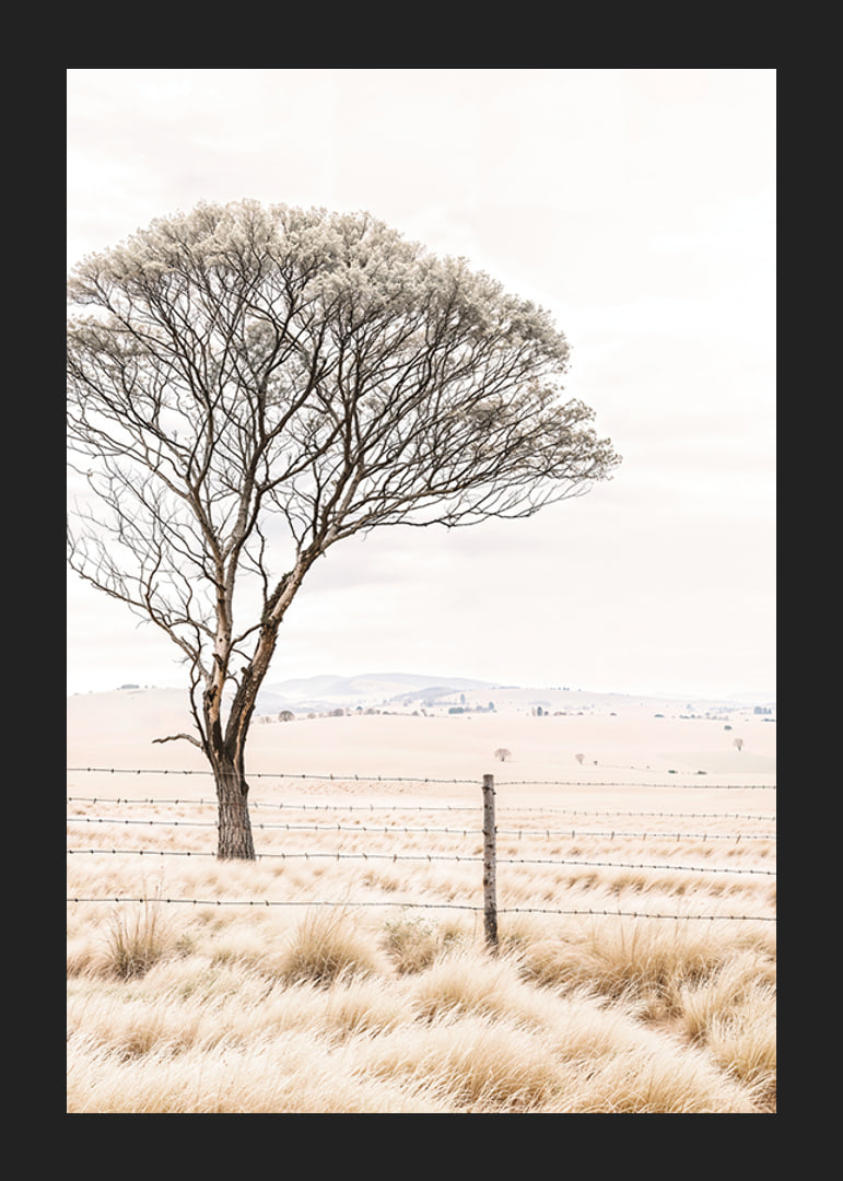 Poster from the nature category with a photograph showing a lone tree in an open landscape-12