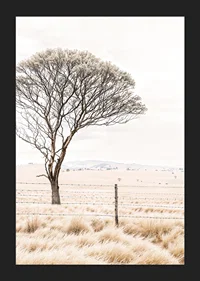 Poster från kategorin natur med ett fotografi som visar ett ensamt träd i ett öppet landskap-5