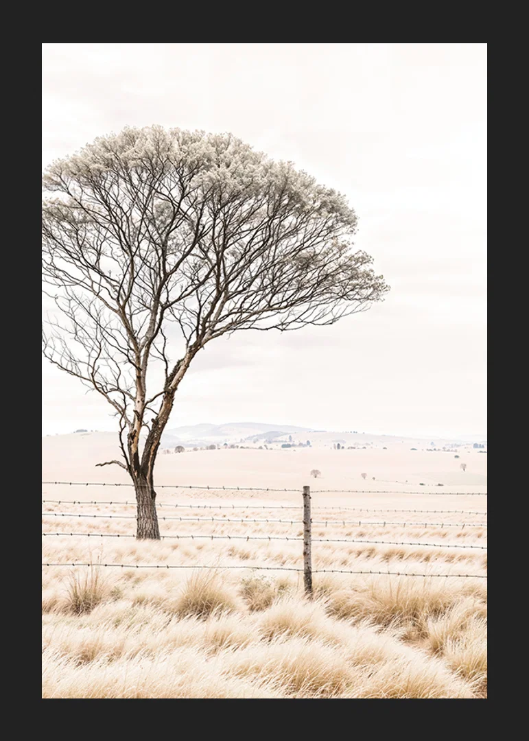 Poster från kategorin natur med ett fotografi som visar ett ensamt träd i ett öppet landskap-12