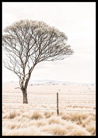 Poster from the nature category with a photograph showing a lone tree in an open landscape-6