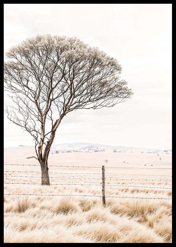 Poster from the nature category with a photograph showing a lone tree in an open landscape-12