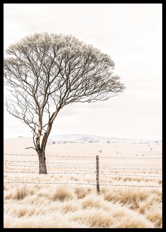 Poster från kategorin natur med ett fotografi som visar ett ensamt träd i ett öppet landskap-12