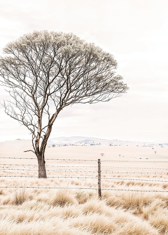 Poster from the nature category with a photograph showing a lone tree in an open landscape-12