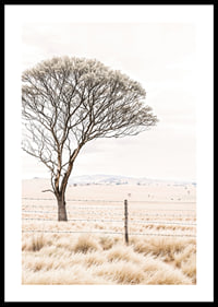 Poster from the nature category with a photograph showing a lone tree in an open landscape-0