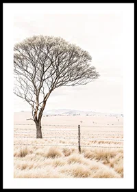 Poster från kategorin natur med ett fotografi som visar ett ensamt träd i ett öppet landskap-0