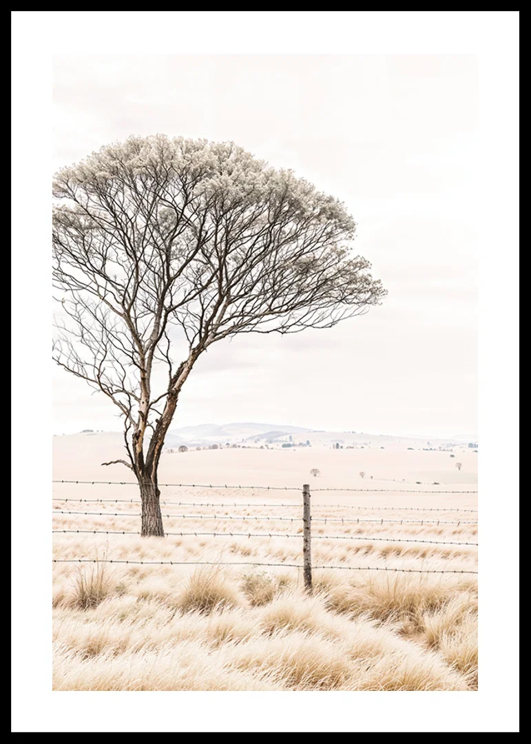 Poster från kategorin natur med ett fotografi som visar ett ensamt träd i ett öppet landskap-12