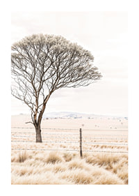 Poster from the nature category with a photograph showing a lone tree in an open landscape-1