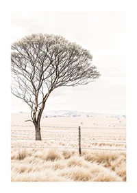 Poster från kategorin natur med ett fotografi som visar ett ensamt träd i ett öppet landskap-1