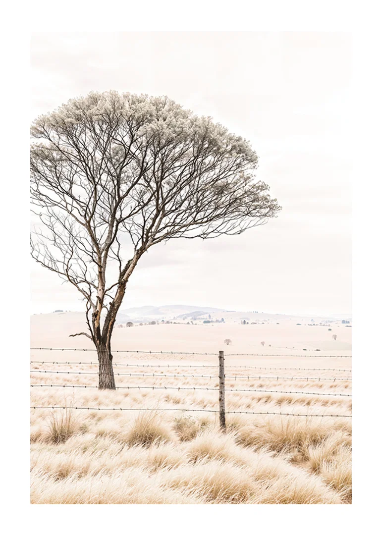 Poster från kategorin natur med ett fotografi som visar ett ensamt träd i ett öppet landskap-12