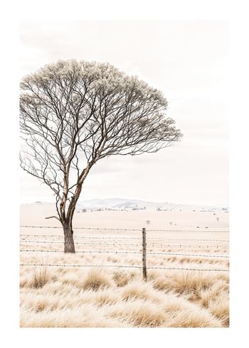 Póster Whispering Prairie