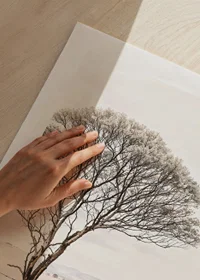 Poster från kategorin natur med ett fotografi som visar ett ensamt träd i ett öppet landskap-9
