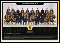 Guldlaget 2024 Skellefteå AIK-0